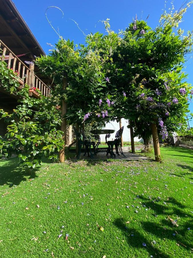 Casa Do Pomar Guest House Bragança Eksteriør bilde