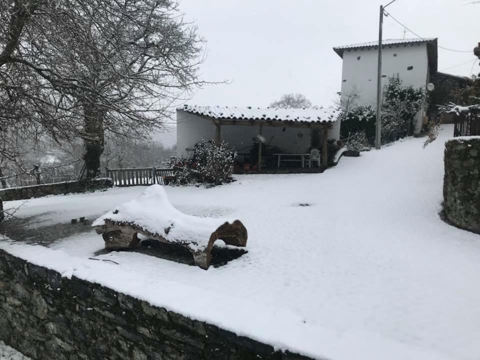 Casa Do Pomar Guest House Bragança Eksteriør bilde